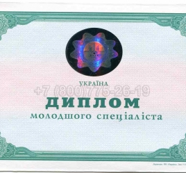 Диплом Техникума Украины 2006г в Новокузнецке